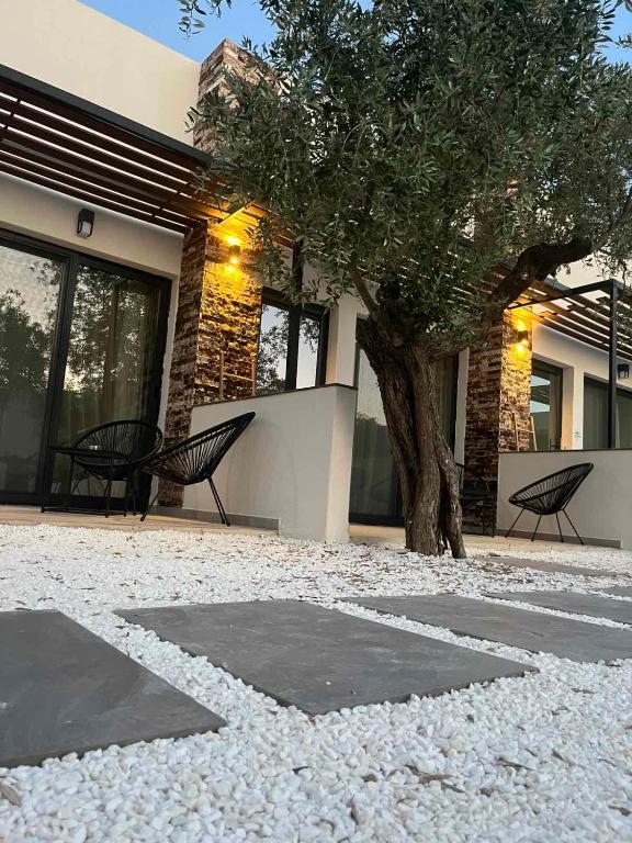 The Olive Hills - Botique Hotel
