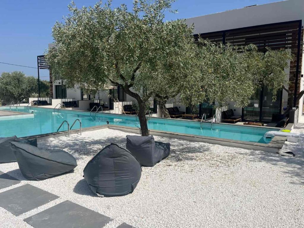 The Olive Hills - Botique Hotel