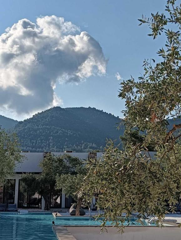 The Olive Hills - Botique Hotel