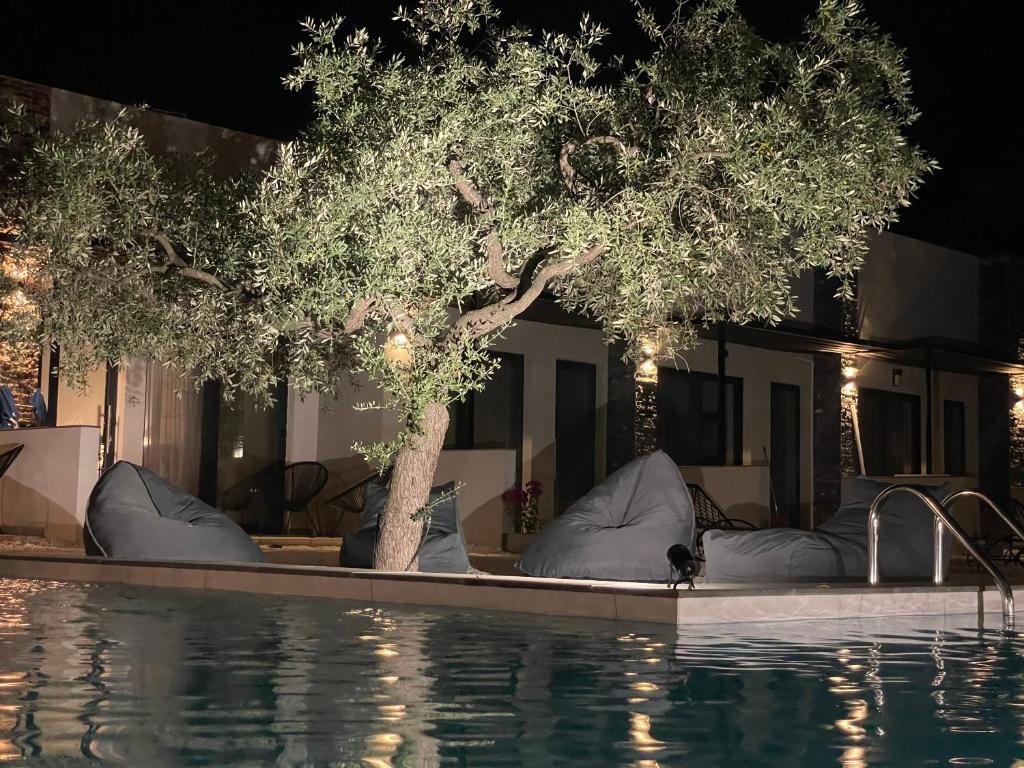 The Olive Hills - Botique Hotel